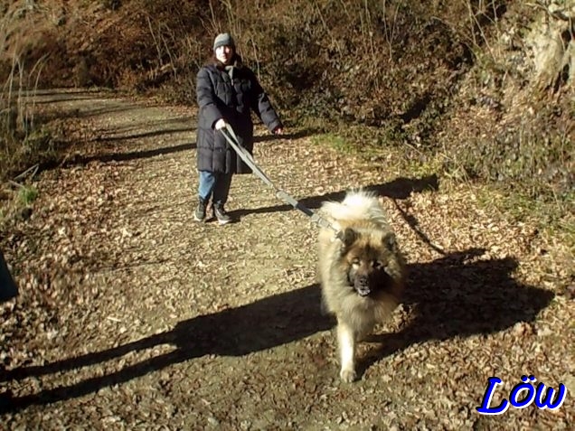 29.12.2025 - Dem Berg entlang